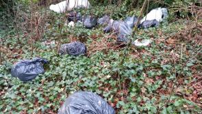 Council removed 20 bags of rubbish dumped in Louth woods over Christmas 