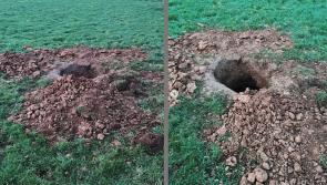 Gardai appeal for witnesses following 'Badger baiting' incident at rural location