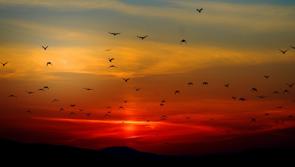 Longer days ahead as sunset stretches to 5:45pm in places