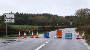 Limerick crash: College staff and students 'numb' after two young men die