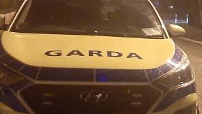 Protest takes place outside Offaly home over 'asylum seekers' in Roscrea 