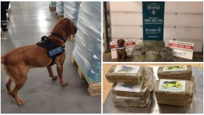 Illicit drugs seized in Dublin were destined for Louth