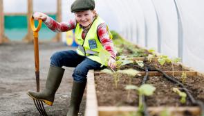 Toy Show star Sheamie digs in to launch The Lidl Farm 2024 school season