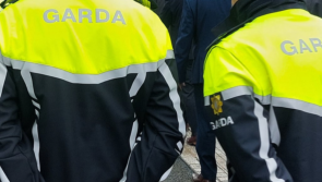 Man in his 20s in serious condition in hospital following Dublin park assault