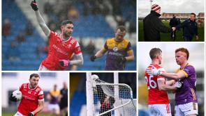 PICTURES: Louth fire four goals past Wexford as fans find their voice ahead of Leinster semi-final