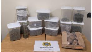 Two men arrested as gardaí seize over €125k worth of cannabis and magic mushrooms