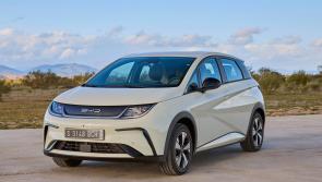 Louth Motors: The BYD Dolphin - A most compelling proposition