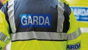 Investigations ongoing after shots were fired in Dublin