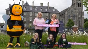 'Louth in Bloom 2024' launched