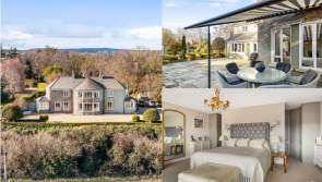 PICTURES: Manor living in Louth as extraordinary mansion goes on sale for €1.35m