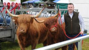 PHOTOS: The Dundalk Show was a great success