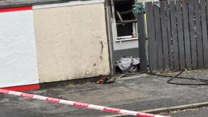 Man arrested after three dogs die in Derry arson attack which 'completely gutted' house