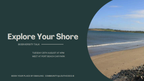 Louth biodiversity: Explore Your Shore talk