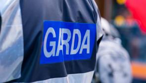 Man in his 40s arrested following fatal hit-and-run in Dublin that saw a man in his 30s killed