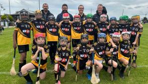 GALLERY | Louth U11 McCreesh Shield Hurling Blitz