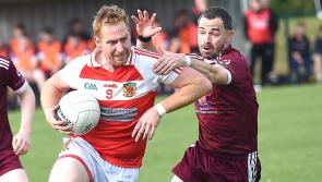 GALLERY | O'Connells 2-19 Naomh Malachi 1-10