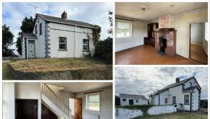 PICTURES: Quirky Louth fixer-upper cottage bursting with character could sell for just €125k