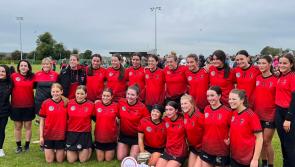 St. Kevins beat the Brides to become senior camogie champions