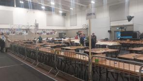 How results are looking in Louth after the first day of counting