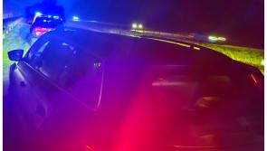 Two arrested as gardaí in Louth catch car thieves red-handed in late-night swoop 