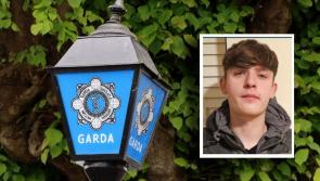 Gardaí stand down search for 15-year-old Louth teen missing for almost a week