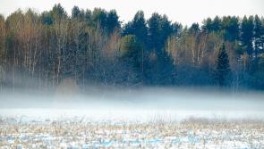 Temperatures to reach whopping 14 degrees in coming days say Met Éireann