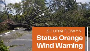 STORM ÉOWYN: Status Red lifted in Louth as people warnd of trees blocking roads across the county