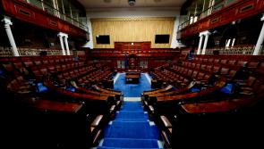 Sinn Fein TD takes legal action against government over &lsquo;super junior&rsquo; ministers