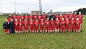 GALLERY | Louth 1-6 Wexford 0-6