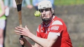Louth hurlers “Didn’t want to be the underdogs this year” says Murphy