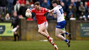 Louth push Monaghan all the way in dramatic second half comeback