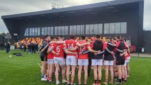 Louth hurlers welcome Longford in final NHL encounter