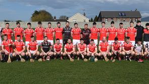 Louth hurlers remain unbeaten in league campaign to earn promotion