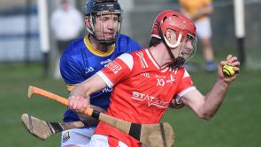 GALLERY | Pictures as Louth hurlers claim promotion with victory over Longford