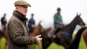 Inside Track: Irish rout the home team in racing’s biggest showcase