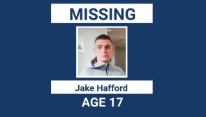 MISSING: Garda&iacute; issue appeal as boy [17] missing close to a week