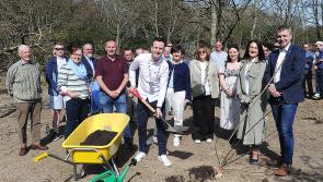 Dundalk-based community addiction service Turas celebrates 20th anniversary with tree-planing ceremony