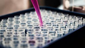 Just 14 out of 56 new life-saving cancer medicines available to Irish patients 