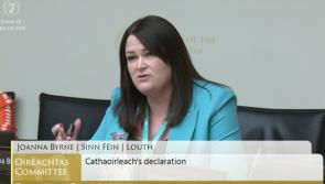 Louth TD appointed to Public Accounts Committee 