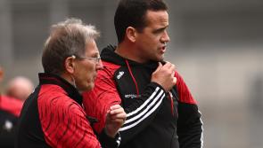 &ldquo;We want to maximise our potential&rdquo; says Louth boss Brennan