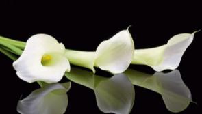 &lsquo;It&rsquo;s devastating&rsquo;: Limerick woman who died in house fire named locally
