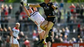 GALLERY | Pictures from Louth's All-Ireland SFC defeat to Down