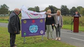 Louth TD calls for solution in McNeela Defence Forces pension case