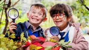 Free trees for Louth primary schools this National Tree Day