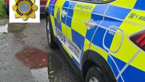 Louth Garda&iacute; issue fixed penalty to driver using phone in treacherous conditions