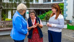 Presidential candidate Heather&nbsp;Humphreys visits south Louth
