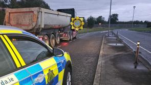 Louth Garda&iacute; in M1 crackdown &mdash; learner behind HGV wheel among multiple offenders