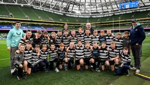 PICTURES: Dundalk RFC take part in half-time minis match at the Aviva