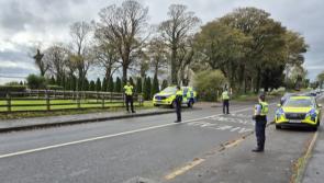 Garda&iacute; step up patrols across north Louth for Halloween Night