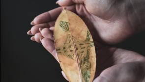 'It Matters...' - a photographic exhibition by Julie Corcoran at Dundalk's Downtown Hub